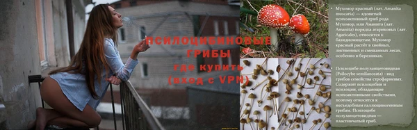 apvp Слюдянка