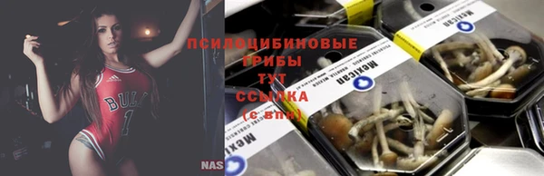 apvp Слюдянка