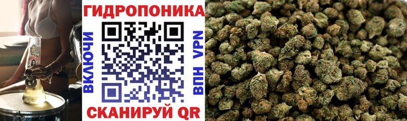 Конопля гибрид Няндома
