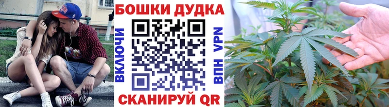 Каннабис сатива  Купить  Няндома 